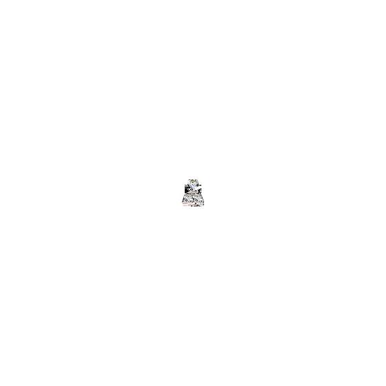 口袋妖怪卡牌游戏 猩红与紫罗兰 扩展包 白色烈焰 BOX