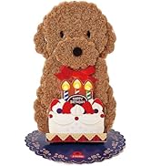 サンリオ(SANRIO) バースデーカード 誕生日祝い ライト＆メロディー ふかふか トイプードル ケーキ 184161